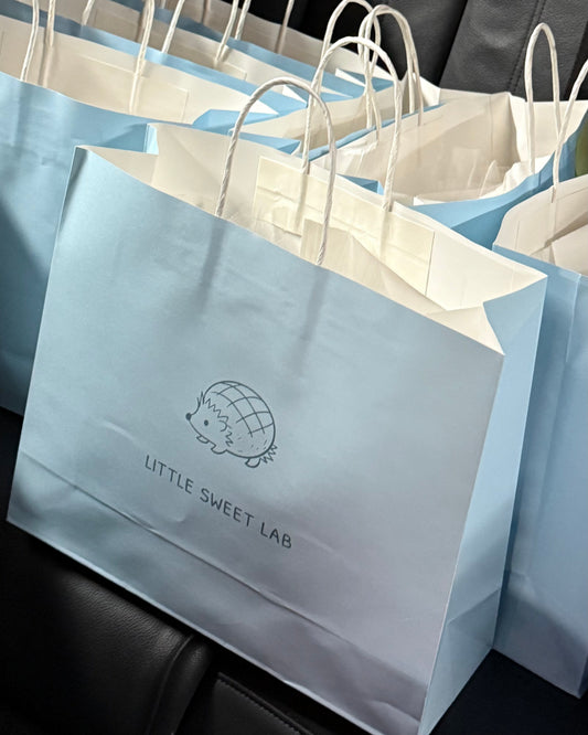 Paper Carry Bag